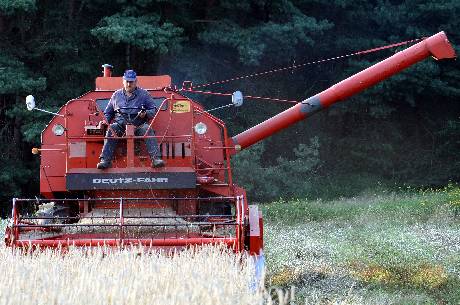 Konzentriert: Jörg Westermann steuert seinen Mähdrescher. Beim Getreide bilanziert er Ertragseinbußenvon gut 30 Prozent.